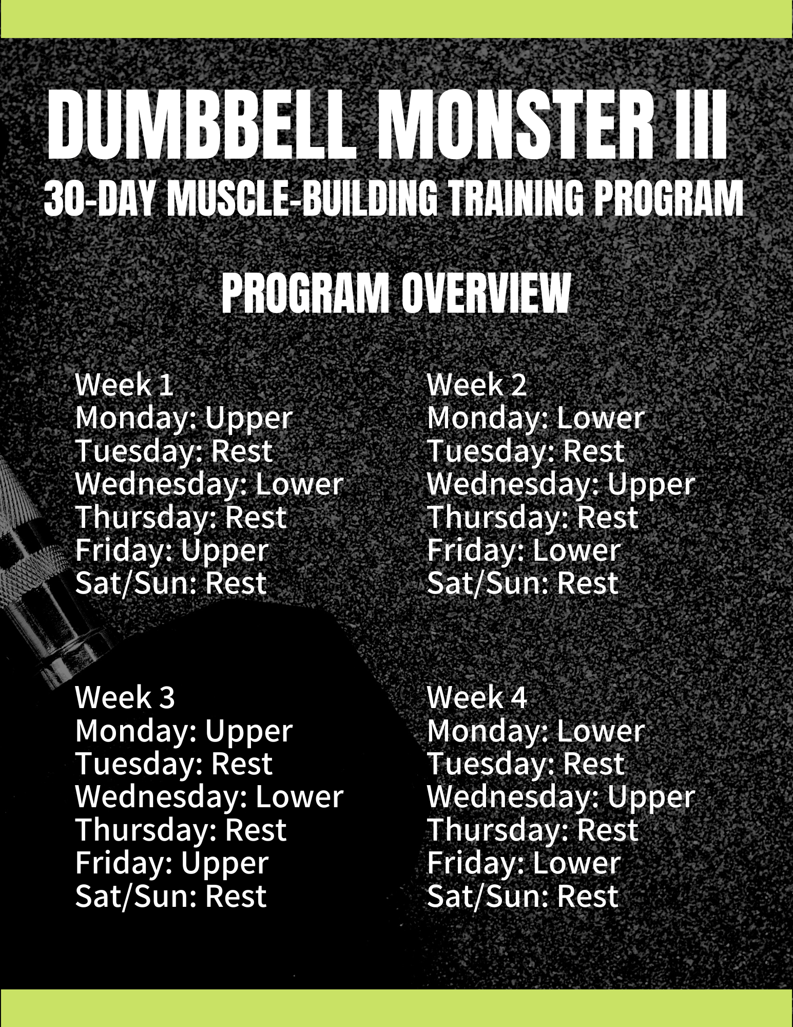 30 days of dumbbells sale